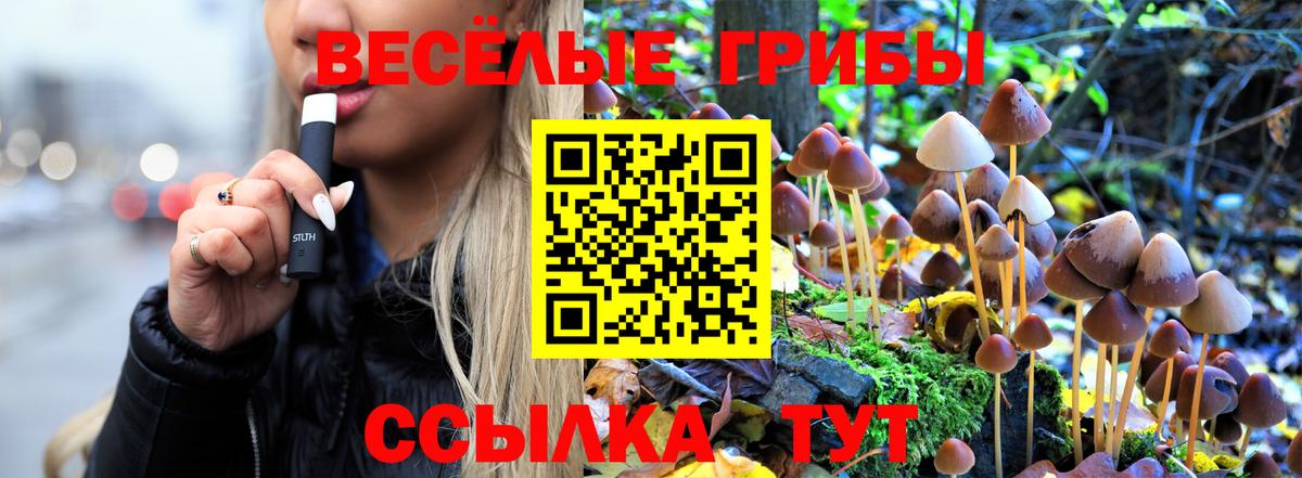 Уссурийск  Галлюциногенные грибы GOLDEN TEACHER  Вход с VPN  Псилоцибиновые грибы Psilocybine cubensis 